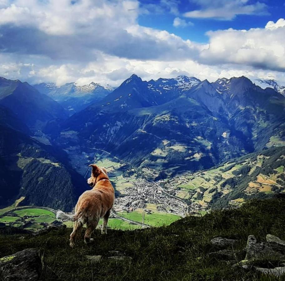 Haus Wibmer Matrei in Osttirol Exteriör bild