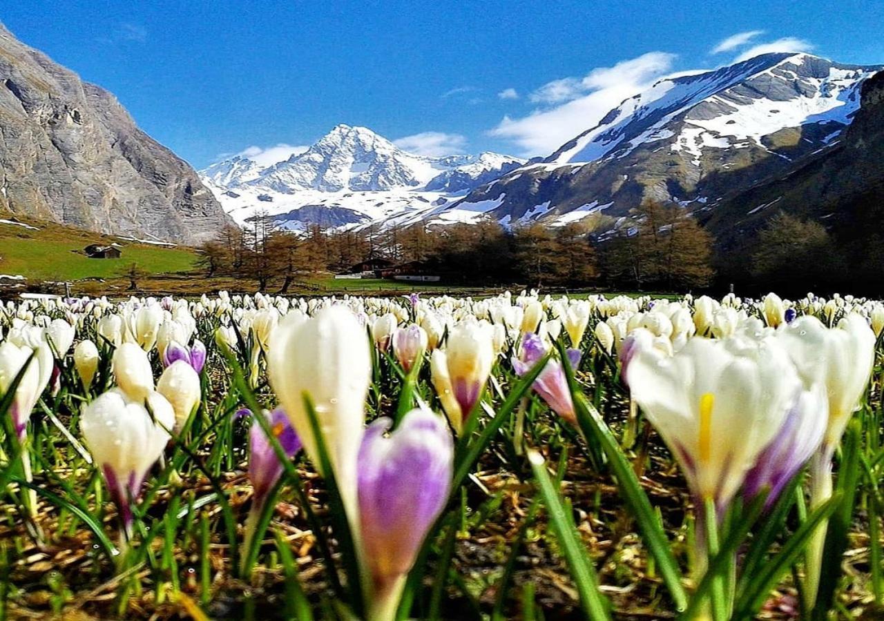 Haus Wibmer Matrei in Osttirol Exteriör bild