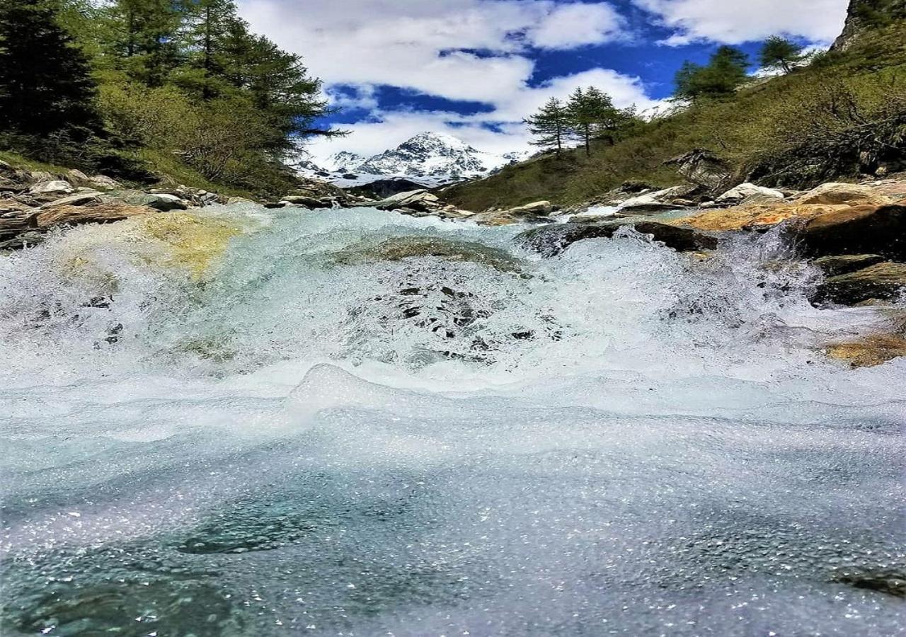 Haus Wibmer Matrei in Osttirol Exteriör bild