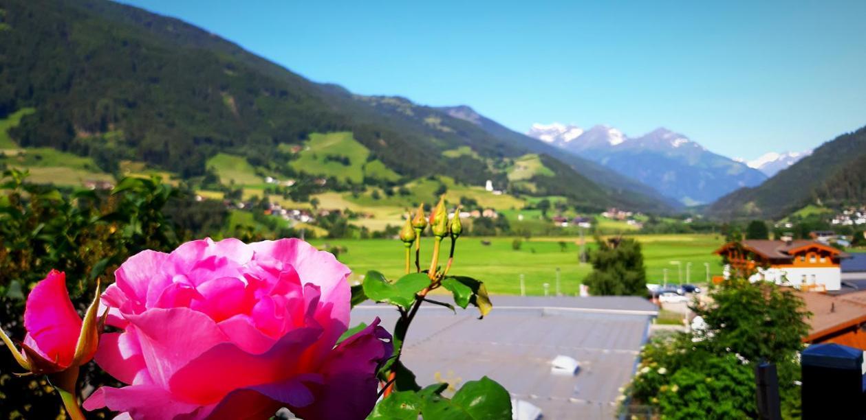 Haus Wibmer Matrei in Osttirol Exteriör bild