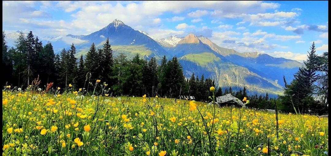 Haus Wibmer Matrei in Osttirol Exteriör bild